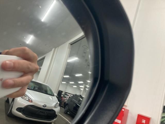 TOYOTA LEXUS NX250 2023