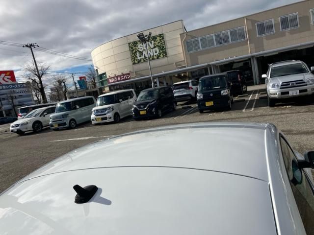 VOLKSWAGEN VOLKSWAGEN The BEETLE 2015