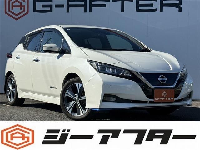 NISSAN LEAF 2020