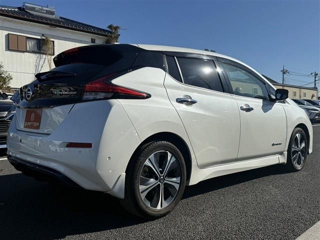 NISSAN LEAF 2020