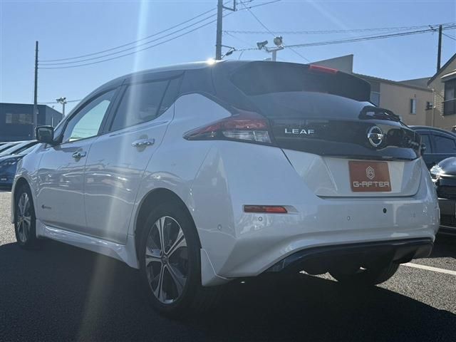 NISSAN LEAF 2020