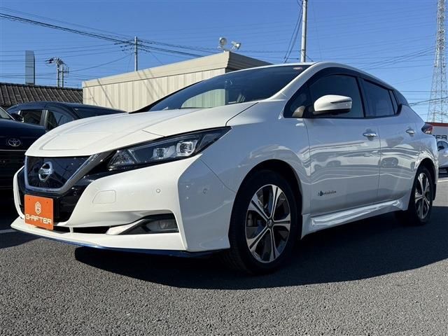 NISSAN LEAF 2020