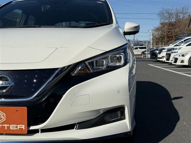 NISSAN LEAF 2020