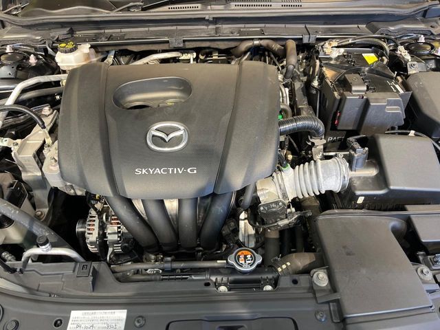 MAZDA MAZDA3 FASTBACK 2019