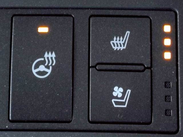 TOYOTA LEXUS RC300h 2016