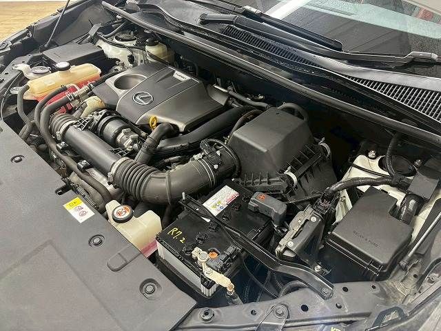 TOYOTA LEXUS NX300 2018