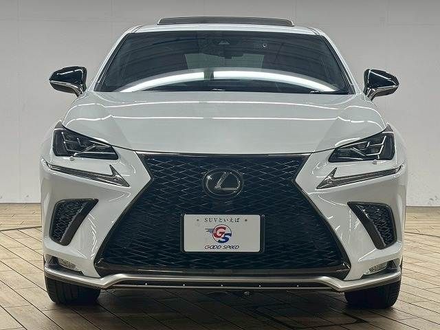 TOYOTA LEXUS NX300 2018