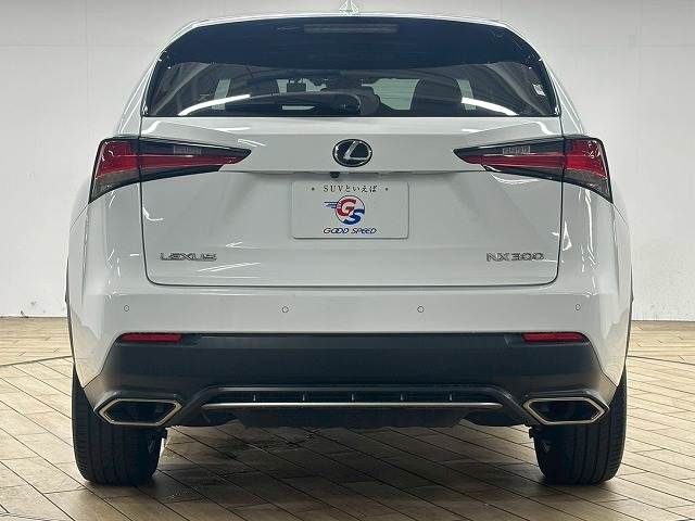 TOYOTA LEXUS NX300 2018