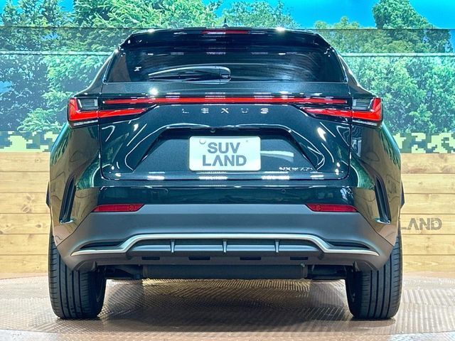 TOYOTA LEXUS NX350h 2024