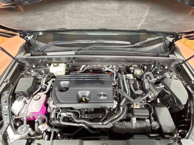 TOYOTA LEXUS NX350h 2024