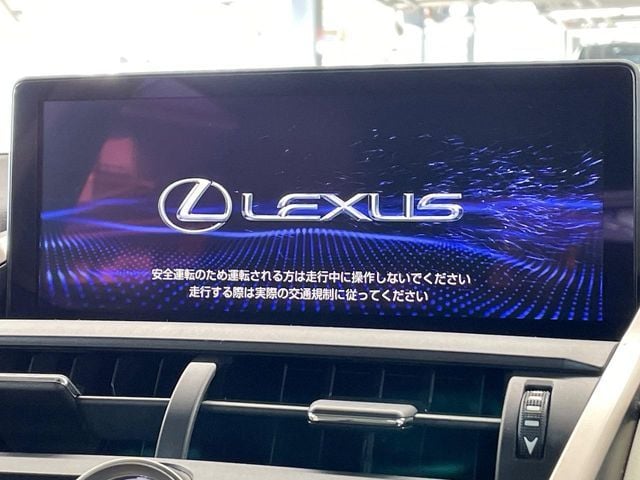 TOYOTA LEXUS NX300h AWD 2019