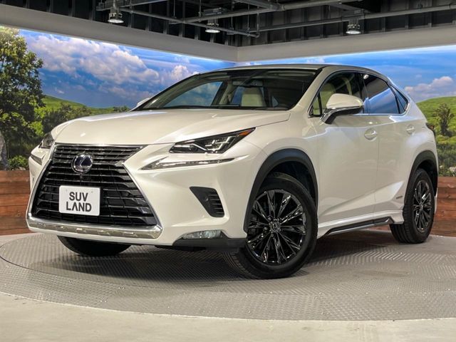 TOYOTA LEXUS NX300h AWD 2019