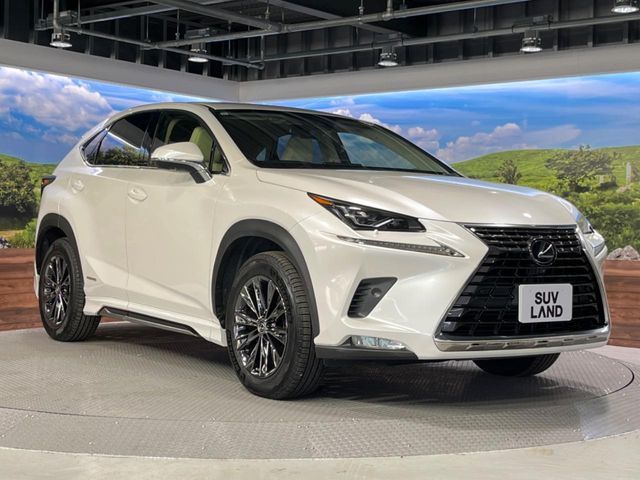 TOYOTA LEXUS NX300h AWD 2019