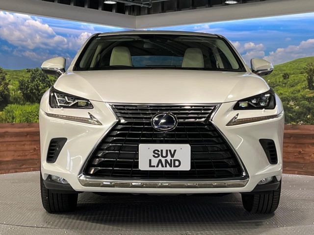 TOYOTA LEXUS NX300h AWD 2019