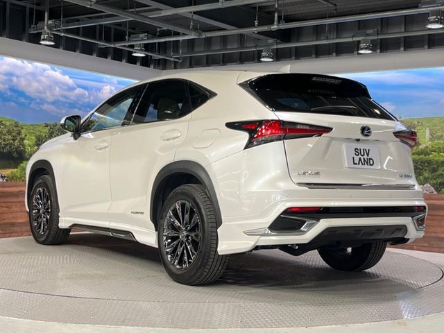TOYOTA LEXUS NX300h AWD 2019