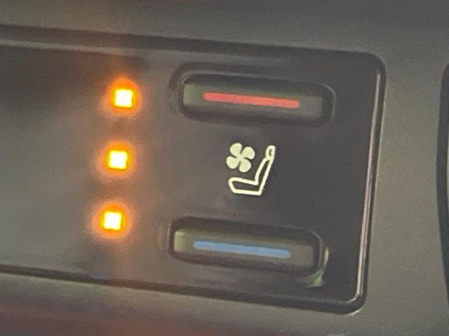 TOYOTA RAV4 4WD 2024