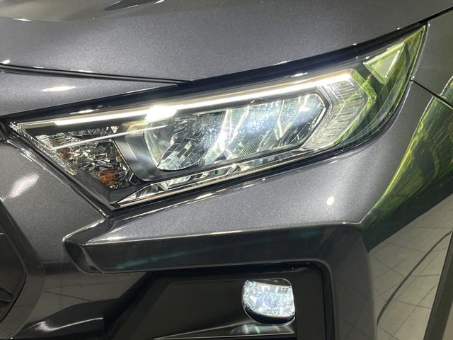 TOYOTA RAV4 4WD 2024