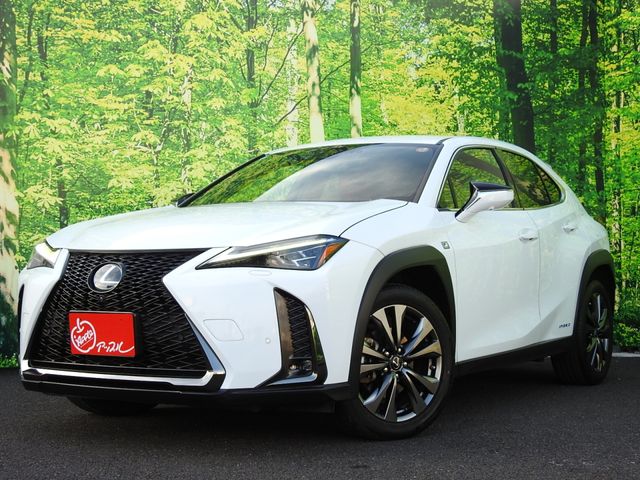 TOYOTA LEXUS UX250h 1956