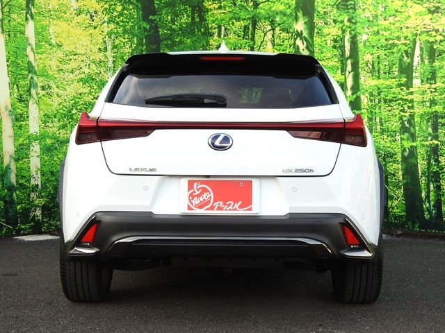 TOYOTA LEXUS UX250h 1956