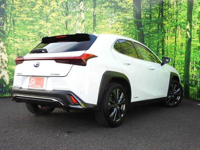 TOYOTA LEXUS UX250h 1956