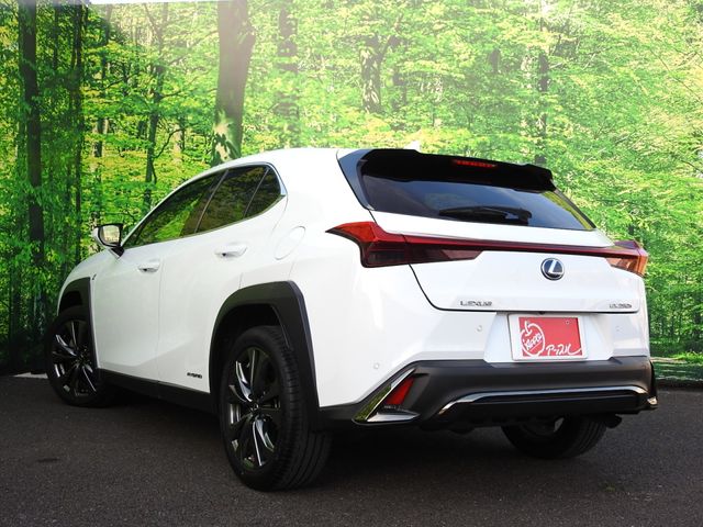 TOYOTA LEXUS UX250h 1956