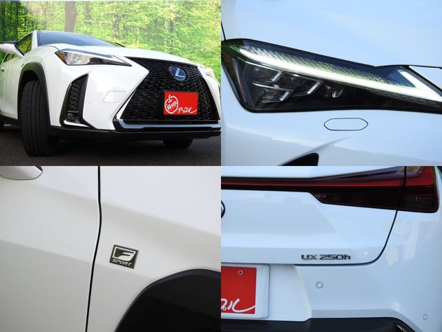 TOYOTA LEXUS UX250h 1956