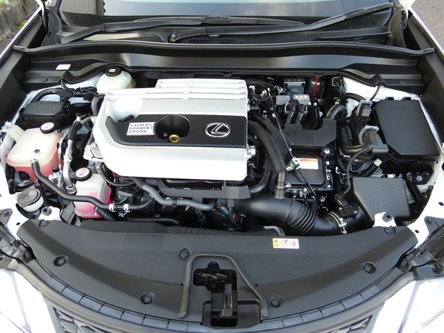 TOYOTA LEXUS UX250h 1956