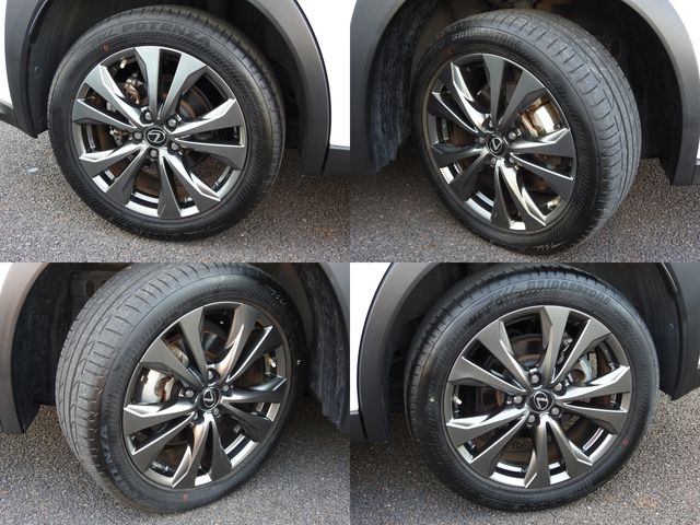 TOYOTA LEXUS UX250h 1956