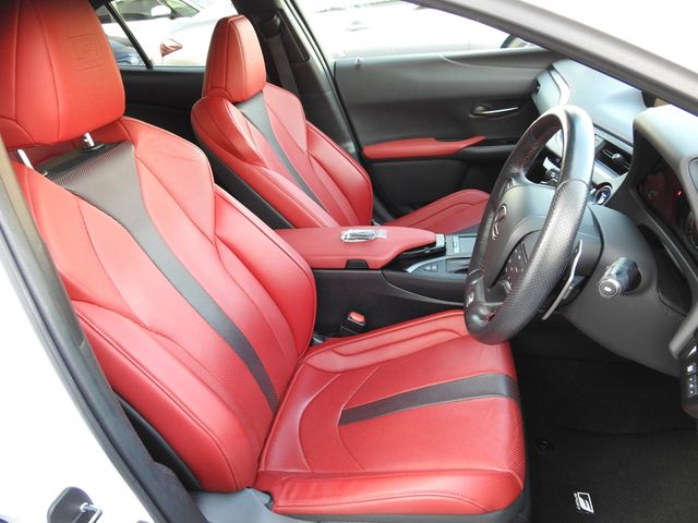 TOYOTA LEXUS UX250h 1956