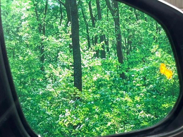 TOYOTA COROLLA CROSS HYBRID 2025