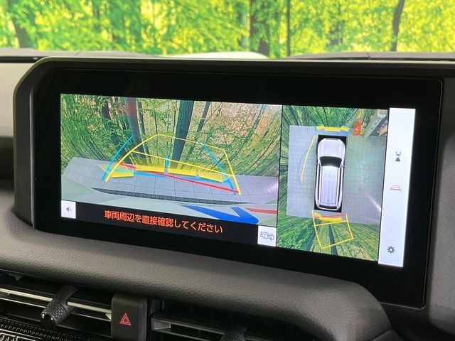 TOYOTA LANDCRUISER 250 2024