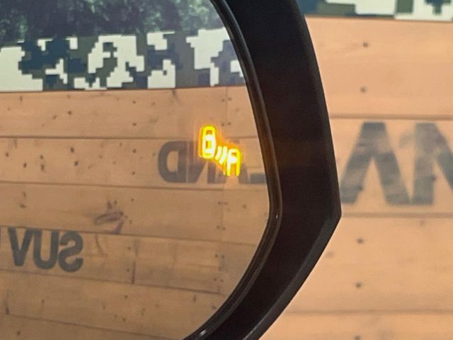 TOYOTA RAV4 4WD 2024