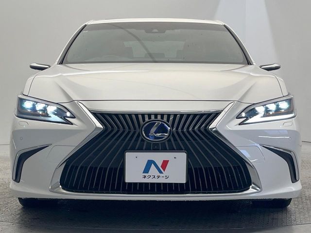 TOYOTA LEXUS ES300h 2019