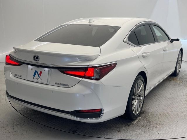 TOYOTA LEXUS ES300h 2019