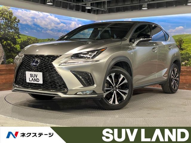 TOYOTA LEXUS NX300h 2021 