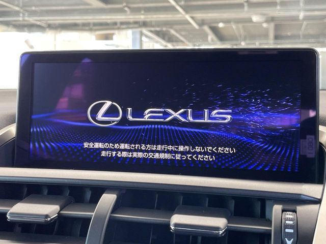 TOYOTA LEXUS NX300h 2021