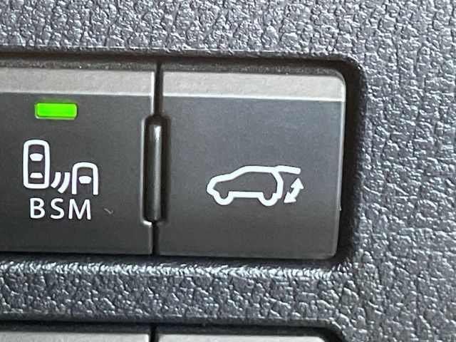 TOYOTA LEXUS NX300h 2021