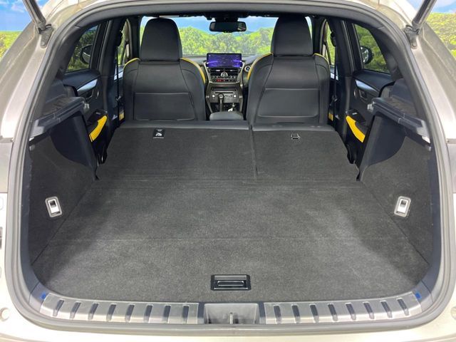 TOYOTA LEXUS NX300h 2021