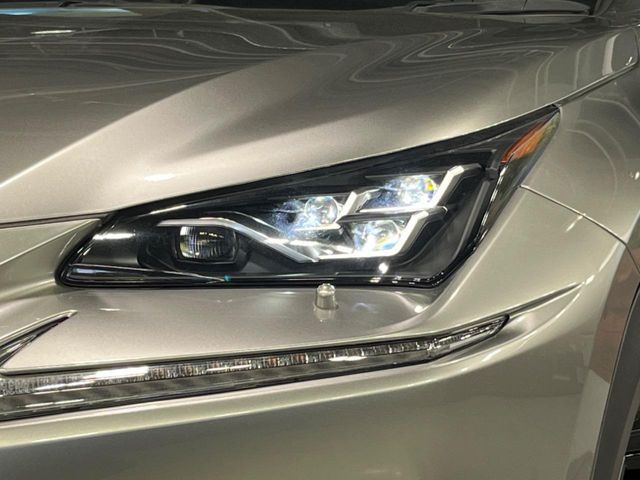 TOYOTA LEXUS NX300h 2021