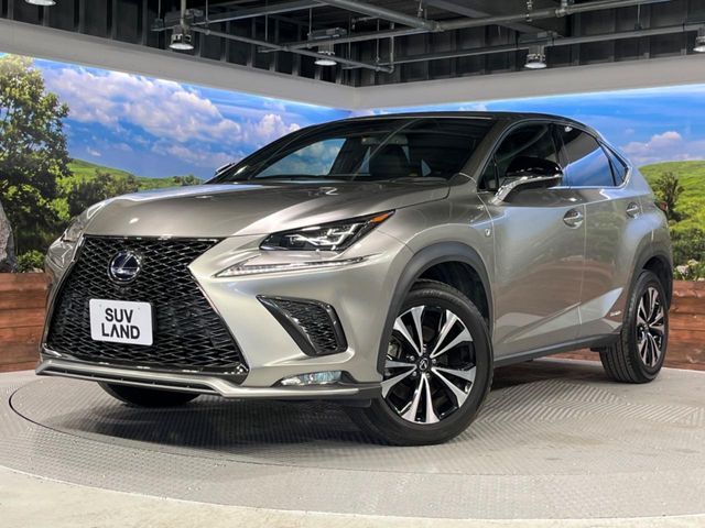 TOYOTA LEXUS NX300h 2021