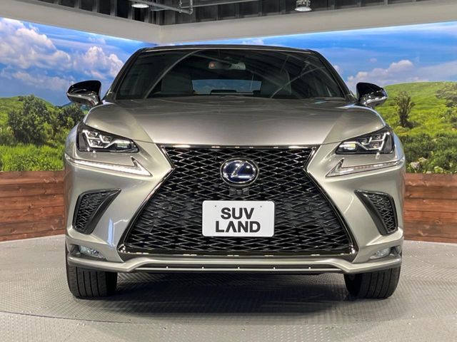 TOYOTA LEXUS NX300h 2021