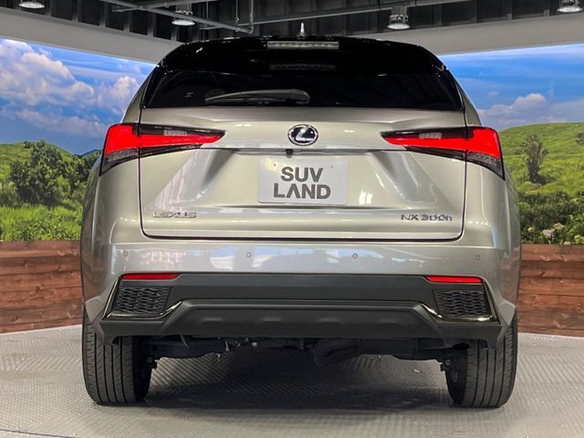 TOYOTA LEXUS NX300h 2021