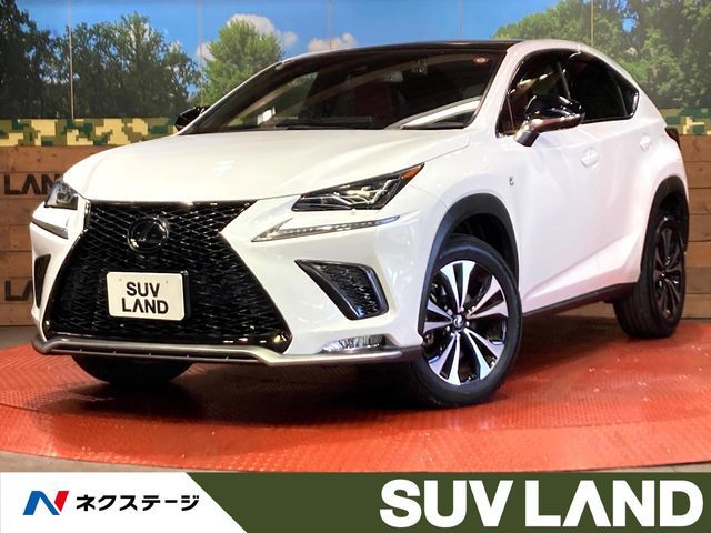 TOYOTA LEXUS NX300 2020