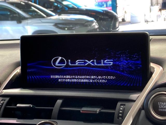 TOYOTA LEXUS NX300 2020