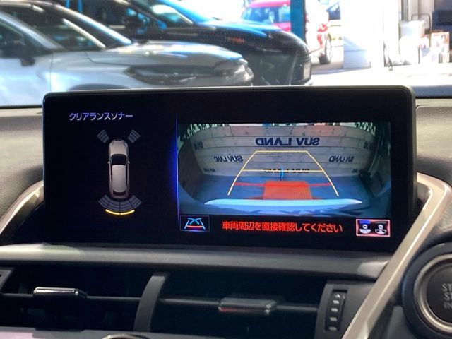 TOYOTA LEXUS NX300 2020