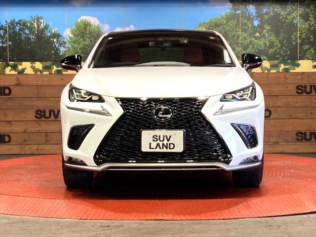 TOYOTA LEXUS NX300 2020