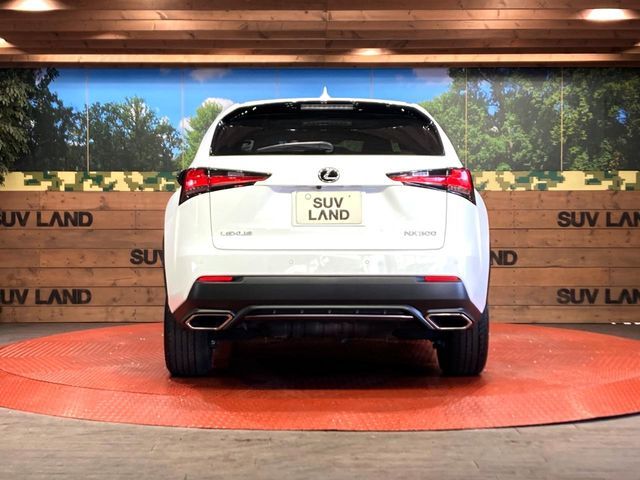 TOYOTA LEXUS NX300 2020