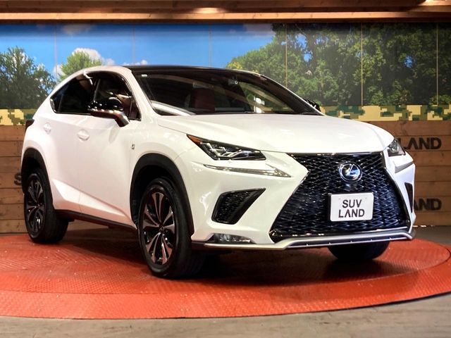 TOYOTA LEXUS NX300 2020