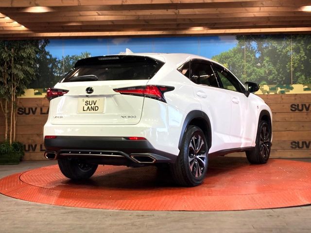 TOYOTA LEXUS NX300 2020