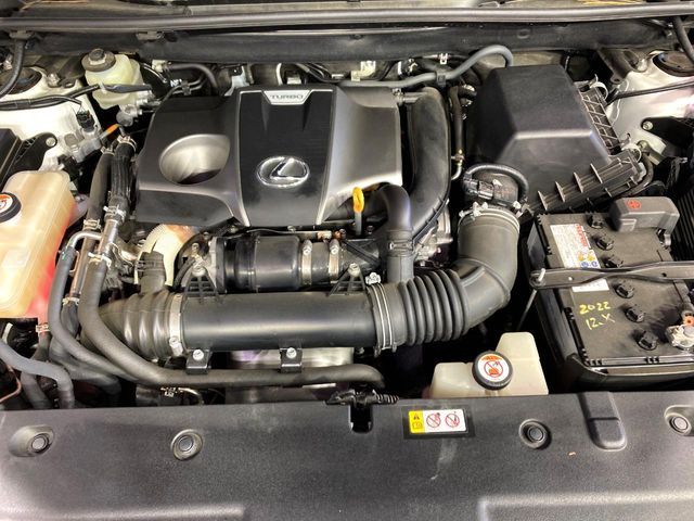 TOYOTA LEXUS NX300 2020